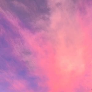 Meet your Posher, Bricelynn